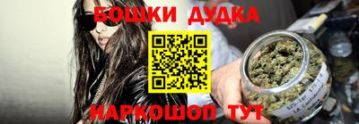 индика Лесосибирск