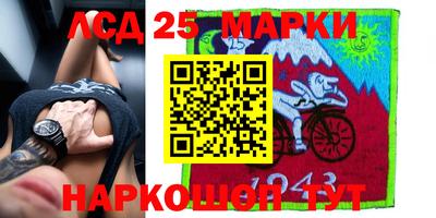 индика Лесосибирск
