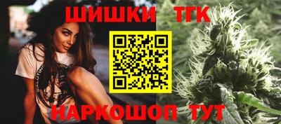 индика Лесосибирск