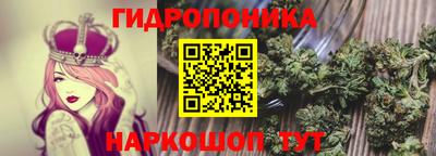 индика Лесосибирск