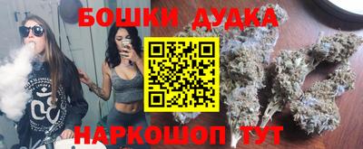 индика Лесосибирск