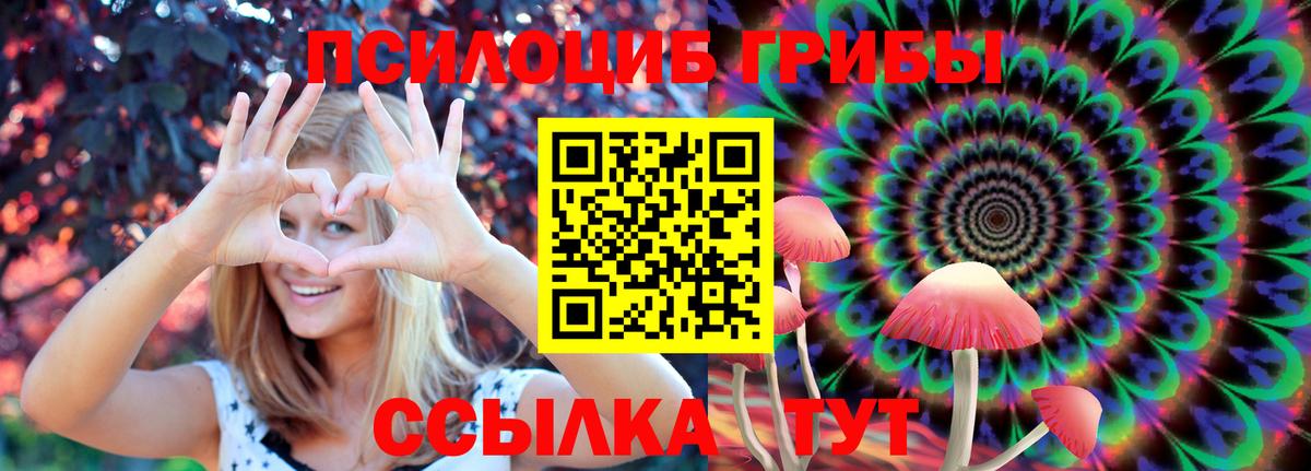 Псилоцибиновые грибы прущие грибы Верхняя Салда